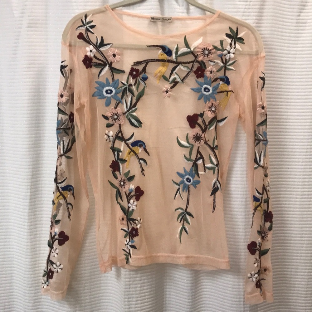 Zara | sheer embroidered top